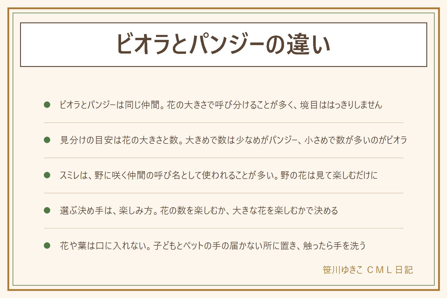 ビオラとパンジーの違いの早見表:ビオラとパンジーは同じ仲間で、花の大きさで呼び分けることが多く境目ははっきりしない。パンジーは大きめの花で数はやや少なめ、ビオラは小さめの花で数が多い傾向。ラベルの品種名や特徴がいちばん確か。スミレは同じ仲間で、野に咲く種類の呼び名として使われることが多く、野の花は見て楽しむだけにする。選ぶ時は花の数を楽しむか大きな花を楽しむかで決める。並べて植える時は株の間をあけ、日当たりと水はけを整える。花や葉は口に入れず、子どもとペットの手の届かない所に置き、触ったあとは手を洗う