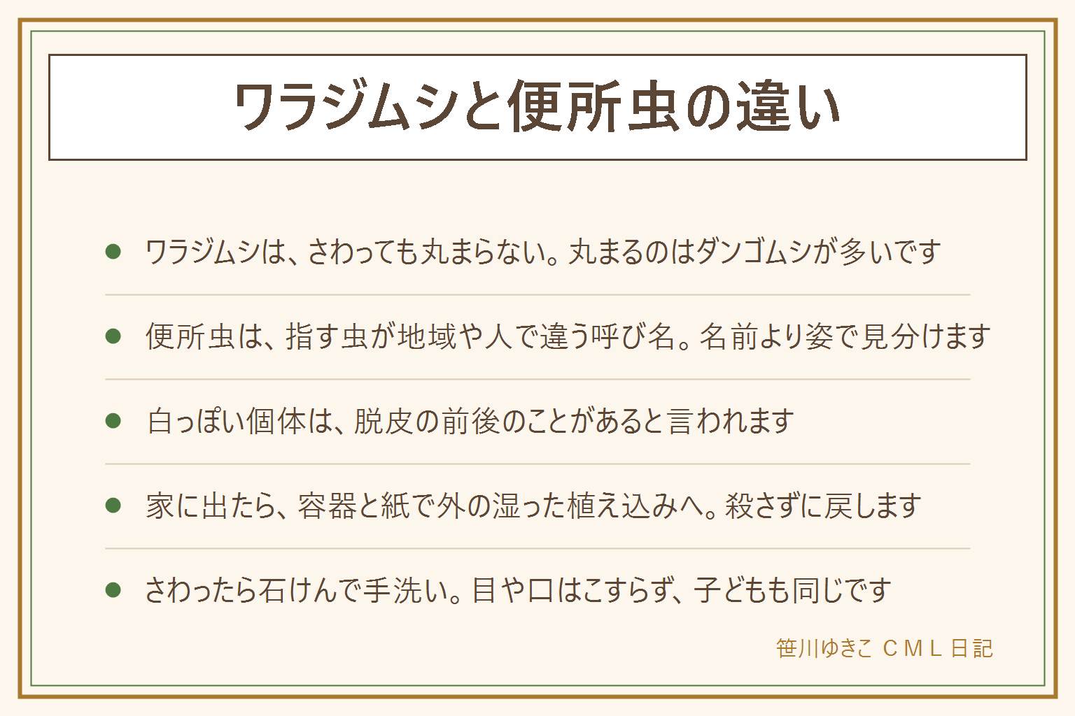 ワラジムシと便所虫の違いの早見表:ダンゴムシは丸まる、ワラジムシは平たくて丸まらず走って逃げる、フナムシは海辺で足が長い、ゾウリムシは水の中の目に見えない生き物。便所虫は種類の名前ではなく地域や人で指す虫が違う呼び名。白っぽい個体は脱皮の前後のことがある。家に出たら容器をかぶせて紙を差し込み、外の湿った植え込みへ戻す。さわったら石けんで手を洗い、目や口をこすらない。子どもが観察したら見つけた場所へ戻す。集合住宅の共用部は管理規約に従う