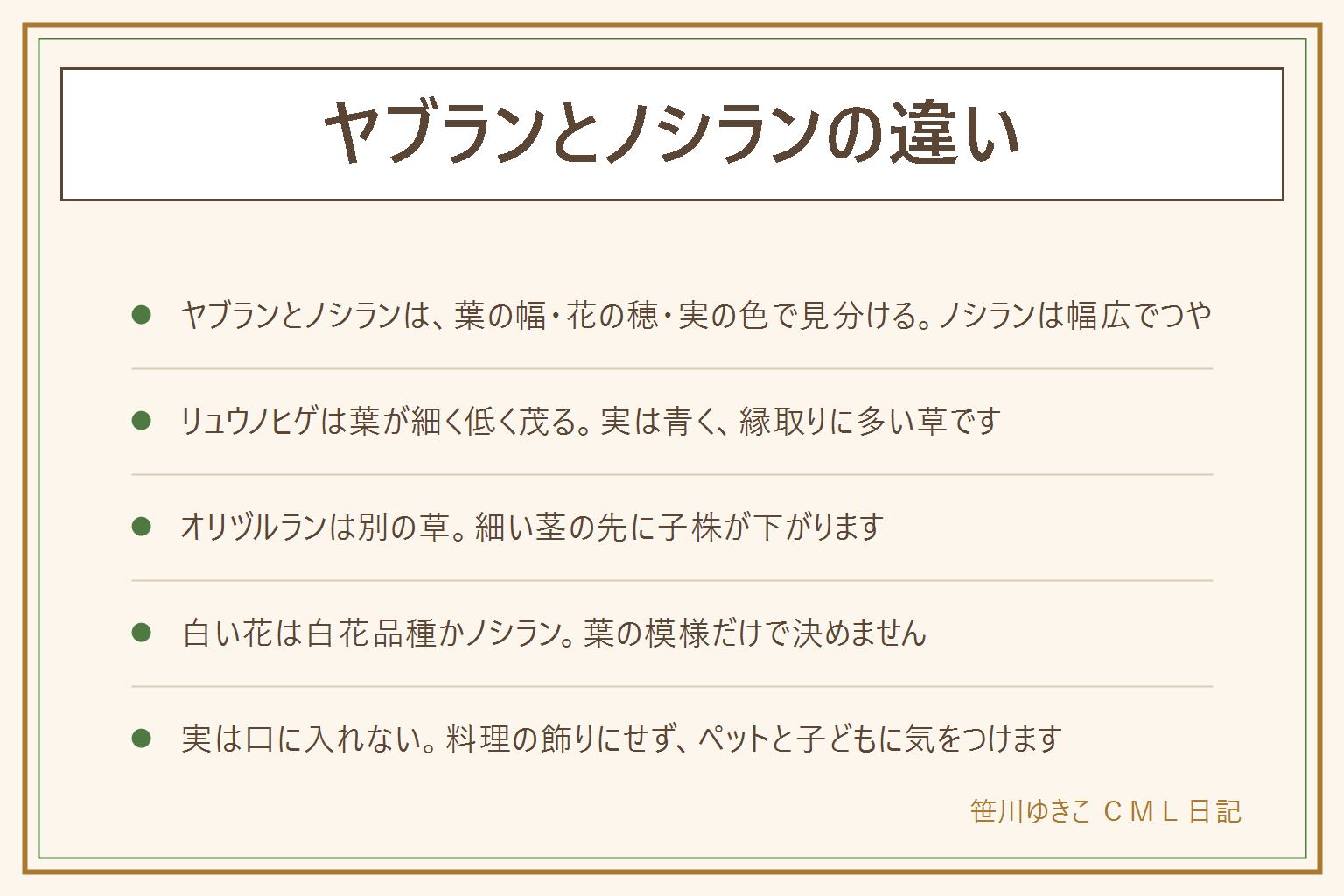 ヤブランとノシランの違いの早見表:ヤブランは細くしなやかな葉で紫の花の穂が葉より高く立ち、実は黒っぽい。ノシランは幅広で厚くつやのある葉で、花は白から薄紫の短い穂、実は青から藍色が目安。リュウノヒゲは葉が細く短く低く茂り、実は青い。オリヅルランは別の草で、細い茎の先に子株が垂れ下がる。白い花が咲く場合は白花の品種のヤブランかノシランで、葉の模様だけで決めずラベルで確かめる。実は口に入れず料理の飾りにも使わず、ペットや子どもが口にしないよう気をつける