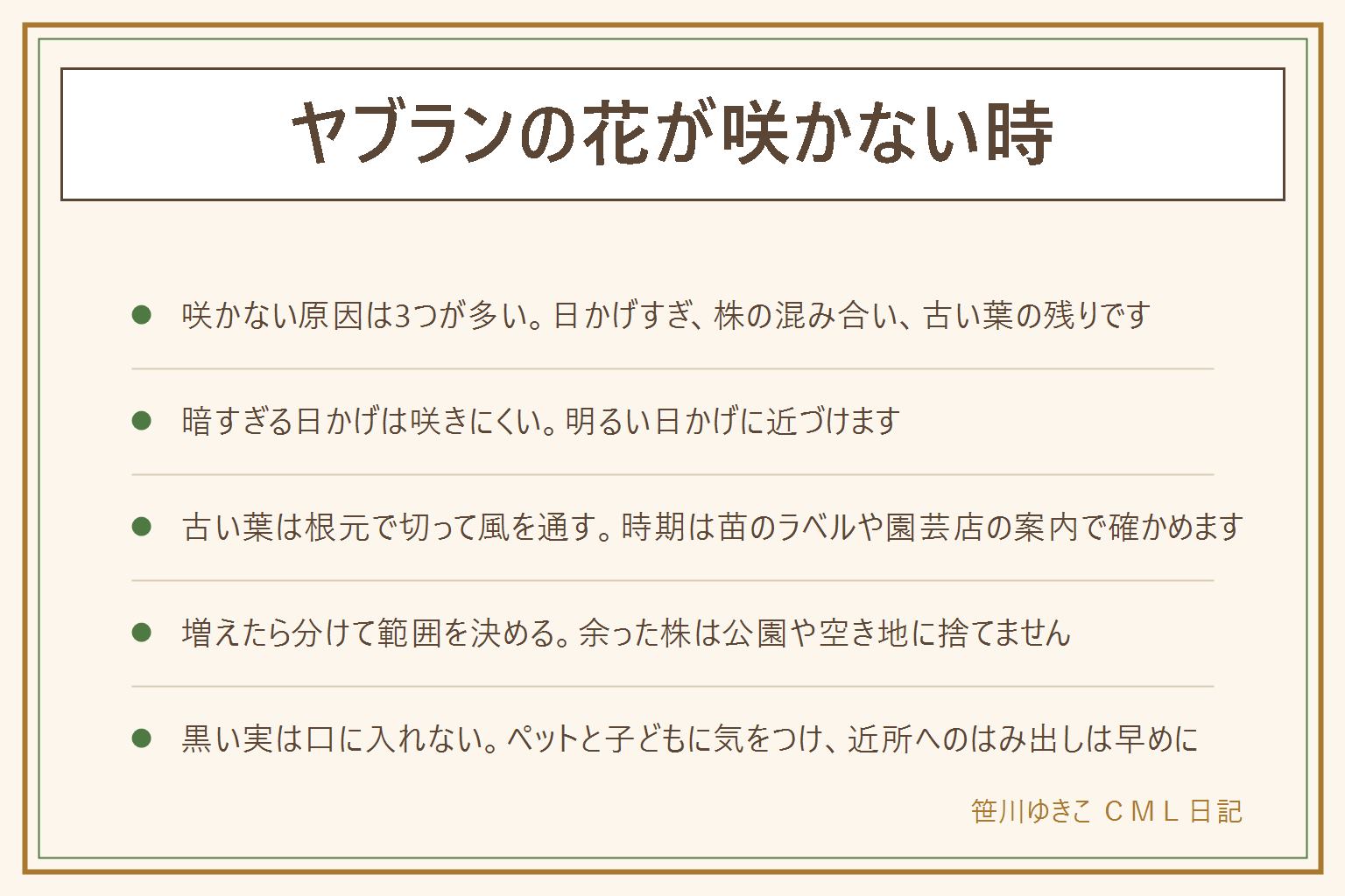 ヤブランの花が咲かない時の早見表:咲かない原因は日かげが濃すぎる、株が混み合っている、古い葉が残って新しい葉が育ちにくいの3つが多い。暗すぎる日かげは咲きにくいので明るい日かげに近づける。古い葉は新しい葉が出る前に根元で切って風を通し、時期は苗のラベルや園芸店の案内で確かめる。増えた時は花壇の仕切りで範囲を決め、混み合った株は分けて間をあける。余った株は公園や空き地に捨てず自治体の分別で出す。冬の葉先の茶色は寒風や霜の傷みのことがあり、夏は乾きと日差しを見る。花のあとの黒い実は口に入れず料理の飾りにも使わない。ペットや子どもに注意し、隣家へのはみ出しは早めに話し合う