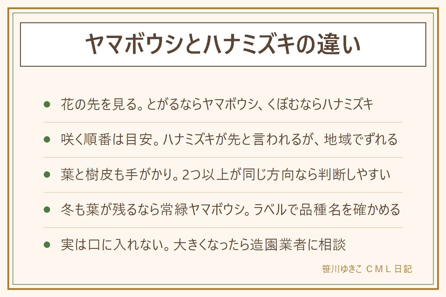 ヤマボウシとハナミズキの違いの早見表:花に見える白い部分の先がとがるのがヤマボウシ、くぼむのがハナミズキ。咲く順番はハナミズキが先と言われるが地域でずれる。葉のふちは、ヤマボウシが波打ち、ハナミズキはなめらか。樹皮は、ヤマボウシがまだら、ハナミズキは細かくひび割れる。秋の実は、ヤマボウシが丸くぼこぼこ、ハナミズキは小さな楕円が房になる。冬も葉が残るのは常緑ヤマボウシ。幹の苔は無理にはがさず、風通しと枝先の様子を見る。庭木の実は口に入れず、触ったら手を洗う。大きくなったら造園業者に相談