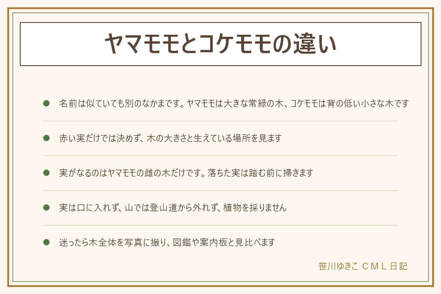 ヤマモモとコケモモの違いの早見表:名前は似ているが別のなかま。ヤマモモは暖かい地方で庭木や街路樹にもなる大きな常緑の木で、雄の木と雌の木が分かれ、実がなるのは雌の木。コケモモは山の高い所などに生える背の低い小さな木。どちらも赤い実をつけるので、木の大きさと生えている場所で見る。実は口に入れない。山では登山道から外れず、植物を採らない。迷ったら木全体を写真に撮って図鑑と見比べる