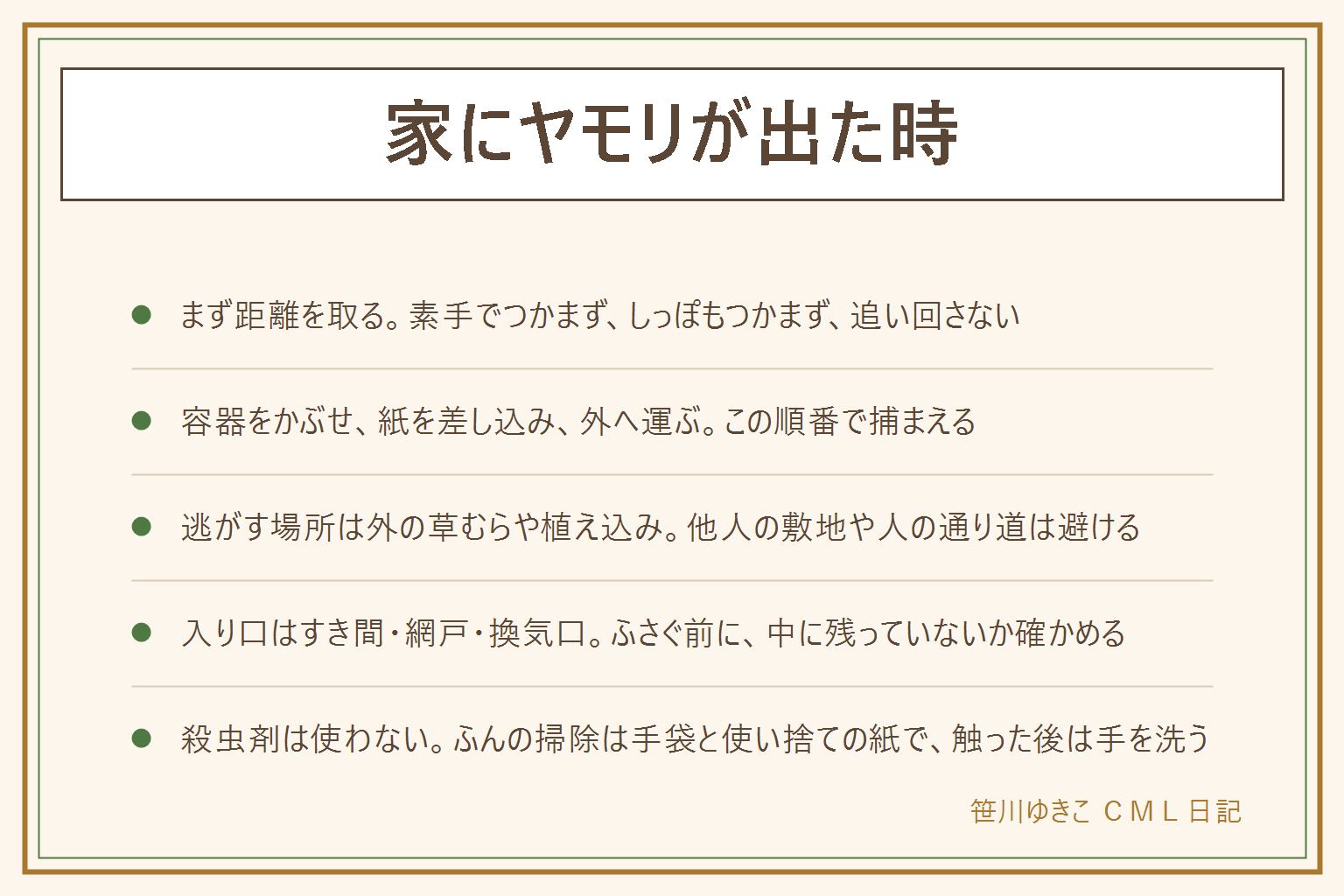 家にヤモリが出た時の早見表:素手でつかまない、しっぽをつかまない、追い回さない、殺さない。捕まえ方は、容器をかぶせる、紙を差し込む、紙を押さえたまま容器ごと持って外へ運ぶ、外の草むらで逃がす。逃がす場所は外の草むらや植え込みで、他人の敷地や人の通り道は避ける。入り口は網戸のすき間、窓やドアのすき間、換気口や配管の穴で、ふさぐ前に中に残っていないか確かめる。ふんの掃除は手袋と使い捨ての紙で、水拭きして手を洗う。塩素系と酸性の洗剤は混ぜない。殺虫剤は使わない。高い所は踏み台を平らな床に置く