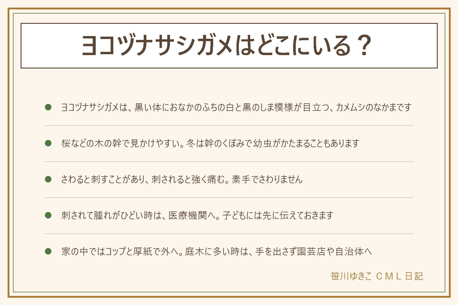 ヨコヅナサシガメはどこにいるかの早見表:黒い体におなかのふちの白と黒のしま模様が目立つ、カメムシのなかま。桜などの木の幹で見かけやすく、冬は幹のくぼみで幼虫がかたまることもある。さわると刺すことがあり、刺されると強く痛むので、素手でさわらない。刺されて腫れがひどい時は医療機関へ。子どもには幹の虫に手を出さないよう伝え、犬は近づけない。離れて写真を撮って図鑑と見比べる。家の中ではコップをかぶせて下に厚紙を差し込み、外の草や木の根元へ放す。庭木に多い時は手を出さず園芸店や自治体に相談する