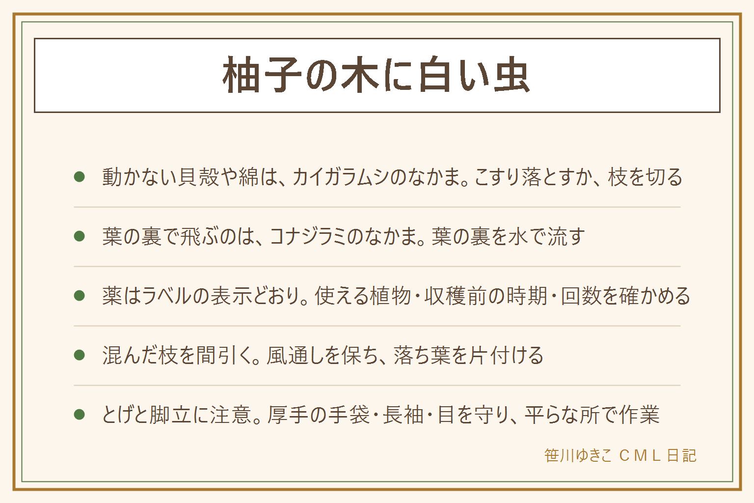 柚子の木に白い虫がついた時の早見表:枝や葉に張りついて動かない白や茶色の貝殻のような粒や綿のような物はカイガラムシのなかま、少なければ古い歯ブラシややわらかいヘラでこすり落とし、ついた枝を切る。葉の裏に白く小さな虫が飛ぶのはコナジラミのなかま、葉の裏を水で流し混んだ枝を間引く。葉が黒くすすけるのは虫の出す汁にカビがついた状態でまず虫を減らす。薬を使う時はラベルの使える植物のかんきつ、収穫前に使える時期、回数を表示どおりに確かめる。柚子の枝にはとげがあるので厚手の手袋と長袖と目を守る、脚立は平らな所で一人で高い所に登らない
