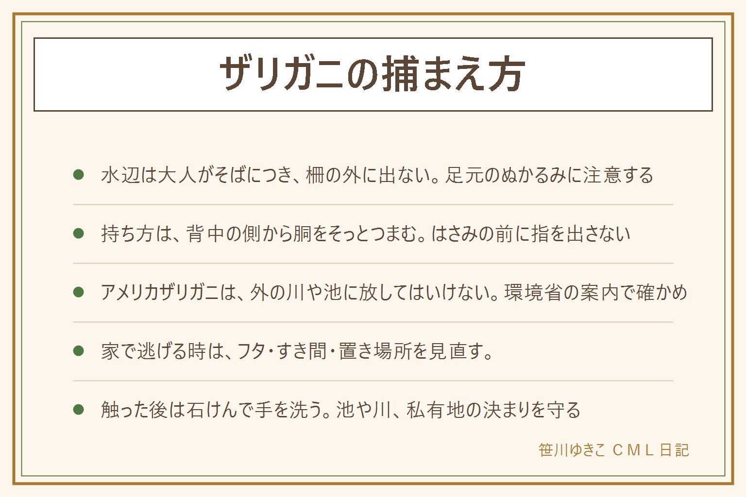 ザリガニの捕まえ方の早見表:水辺では大人がそばにつき、柵の外に出ない、足元のぬかるみに気をつける、公園や池や川の決まりを守る。持ち方は背中の側から胴をそっとつまみ、はさみの前に指を出さない。うまくつかめない時は網ですくって容器へ。挟まれた時は慌てて振り払わず大人を呼ぶ。アメリカザリガニは外の川や池に放してはいけない決まりがあり、環境省の案内で確かめる。持ち帰ったら最後まで飼い、飼えなくなっても外へ放さない。家で逃げる時はフタのすき間、ケースの位置を見直す。黒くなる、浮く時は脱皮の前後のことがあると言われ、気になる時は動物病院へ。鳴き声に聞こえるのはこすれる音と言われる。触った後は石けんで手を洗う